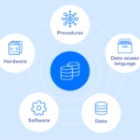 Securing Your Database: Advanced Strategies for Data Protection