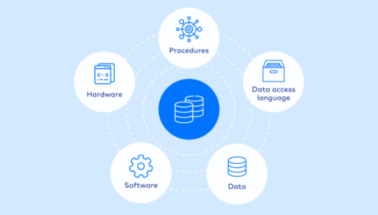 Securing Your Database: Advanced Strategies for Data Protection